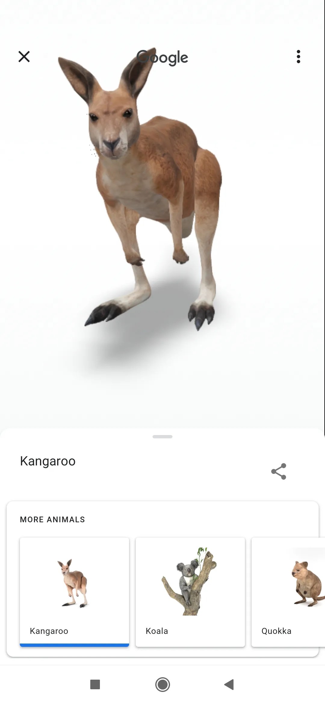 How to view google's 3d animals and go on a virtual safari