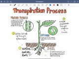 The 7 Best Note Taking Apps For The Ipad And Ipad Pro