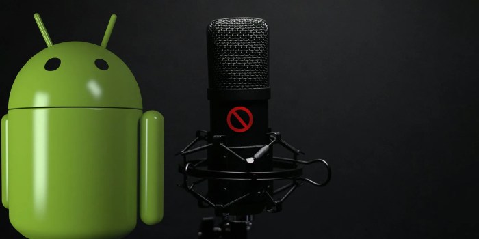 How to enable microphone on android