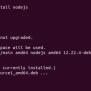 Learn How To Install Npm And Node.js On Ubuntu