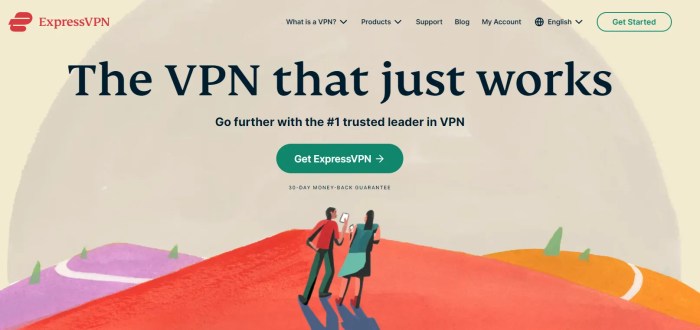Expressvpn net worth