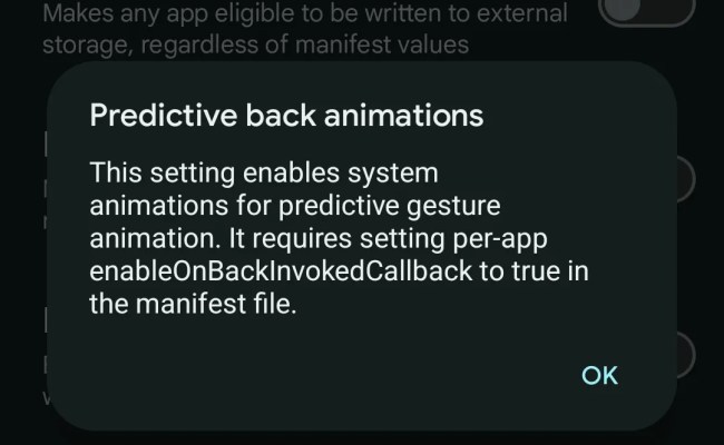 How To Enable Predictive Back Animations In Android 14