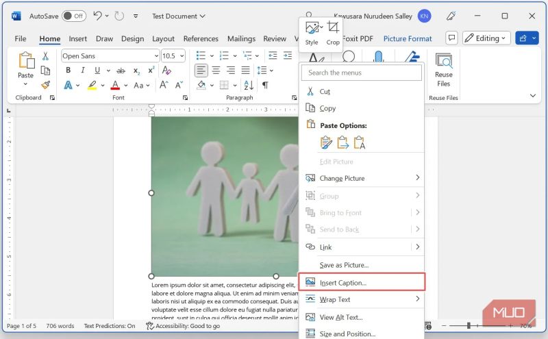 Remove The Caption Under 3d Figure In Classification 1 Issue 319 - Nature Photo Collection - HD Quality