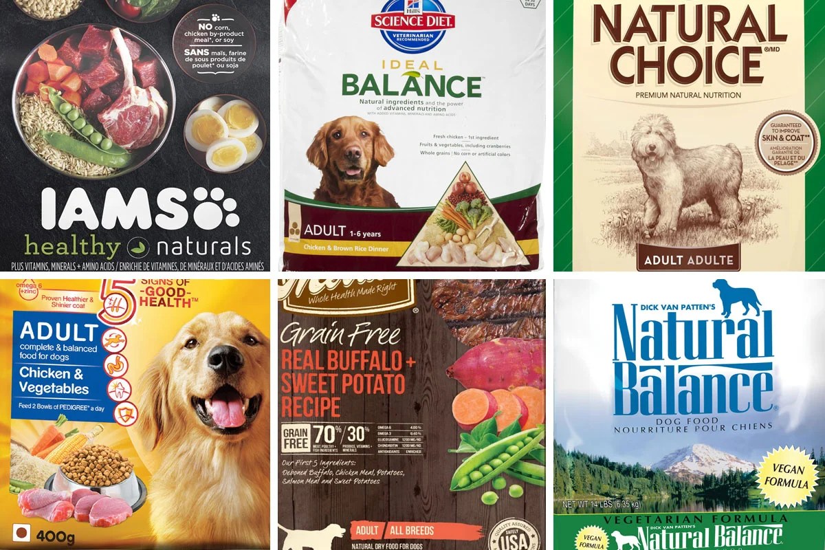 Unleash the best: top 10 dog food companies revealed with reviews and