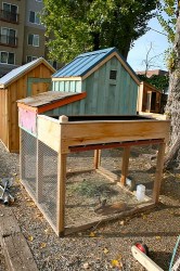 farm handbook urban giveaway chicken coop nov
