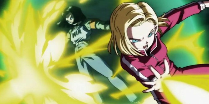 Int android 17 and 18