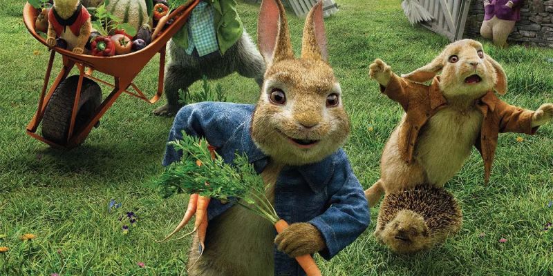 Peter Rabbit Comics 3 Issue - Premium Minimal Background Gallery - Full HD
