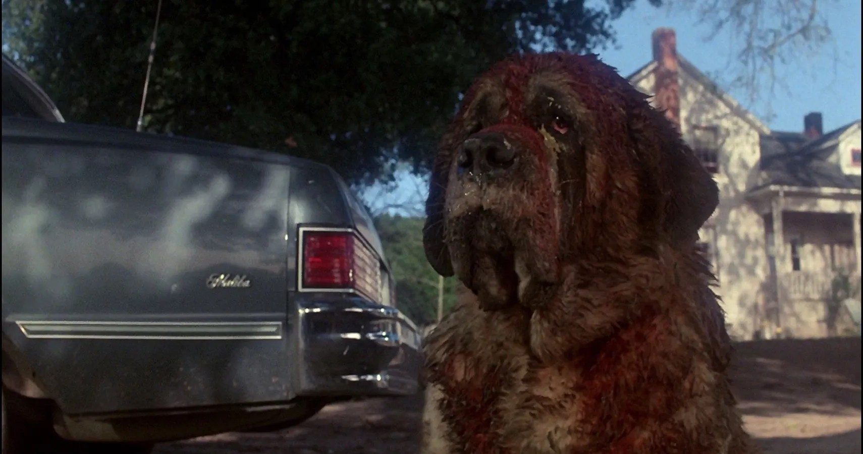 Release Date, Cast, Story & Everything We Know