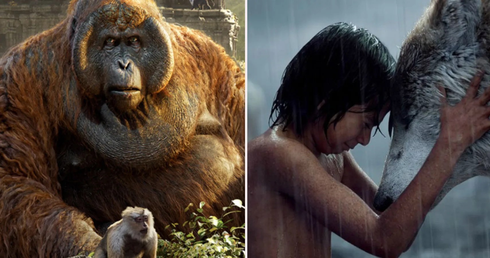 Animation Collection: King Louie Original Production Cel from The Jungle  Book, 1967