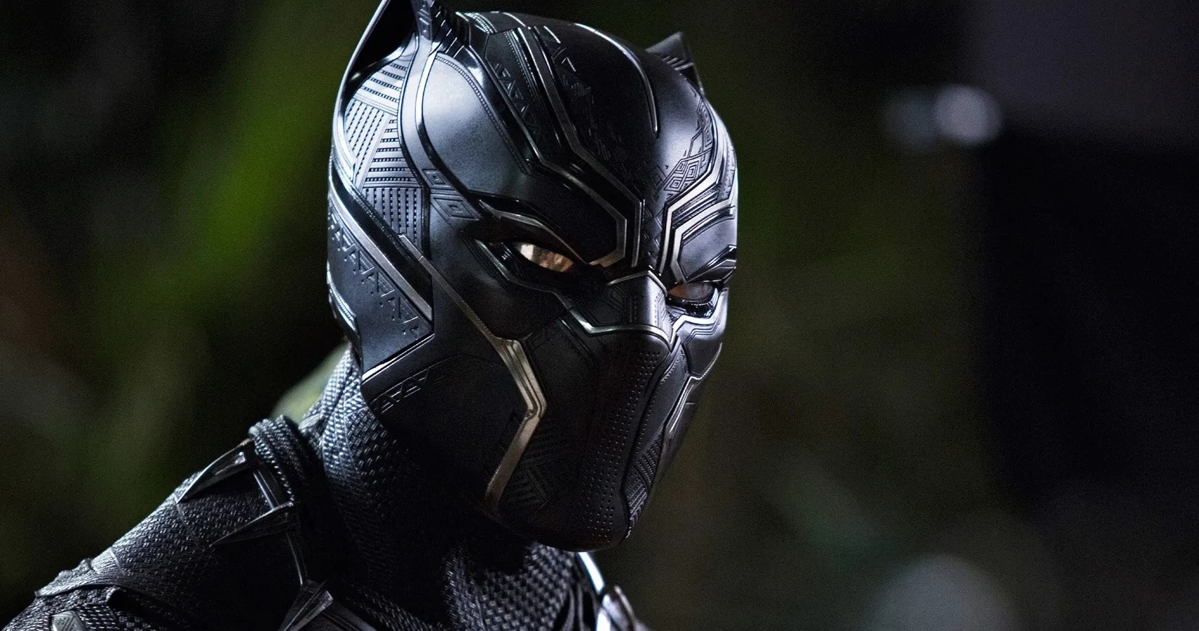 Here's what .voir. black panther 2 . Black Panther: 10 Things We Hope To See By The End Of His MCU Arc