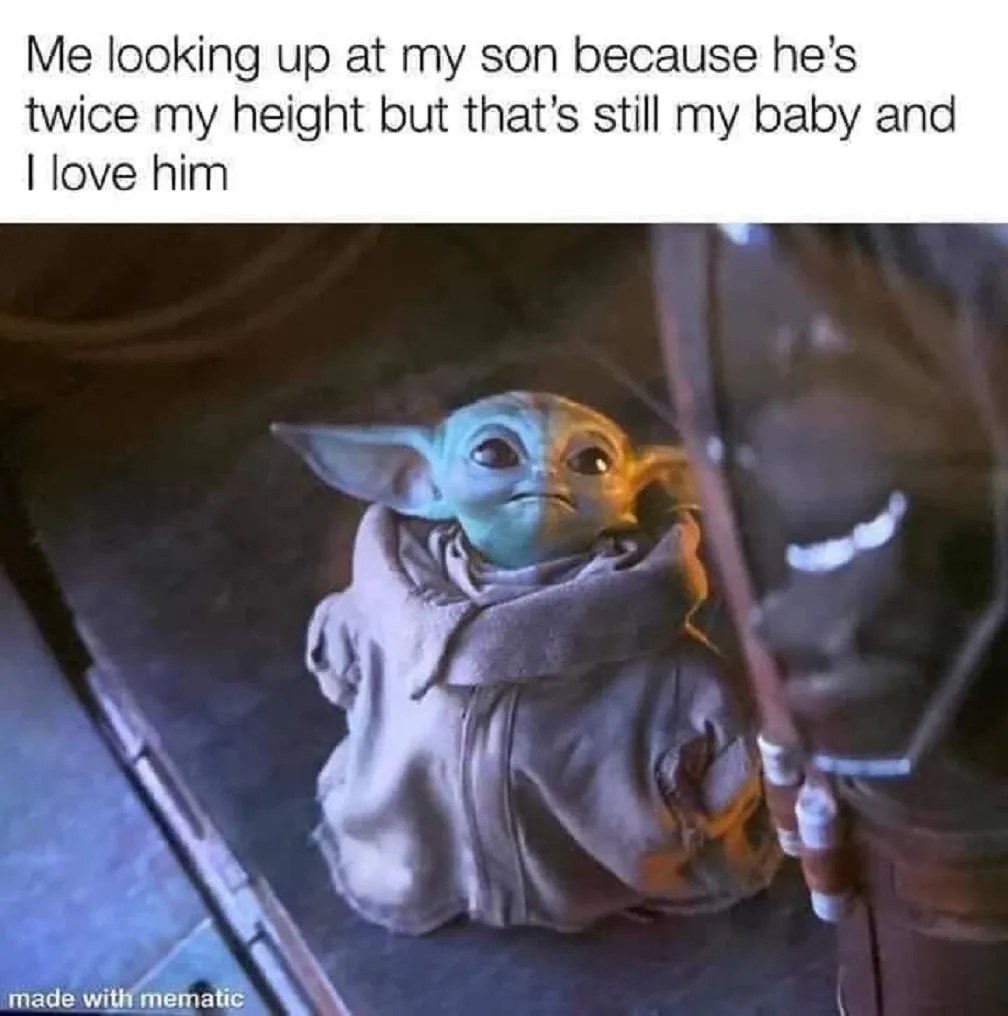 The new mandalorian season premieres this weekend and the funniest baby yoda memes have hit the internet! 15 Funniest Baby Yoda Looking Up Memes Screenrant