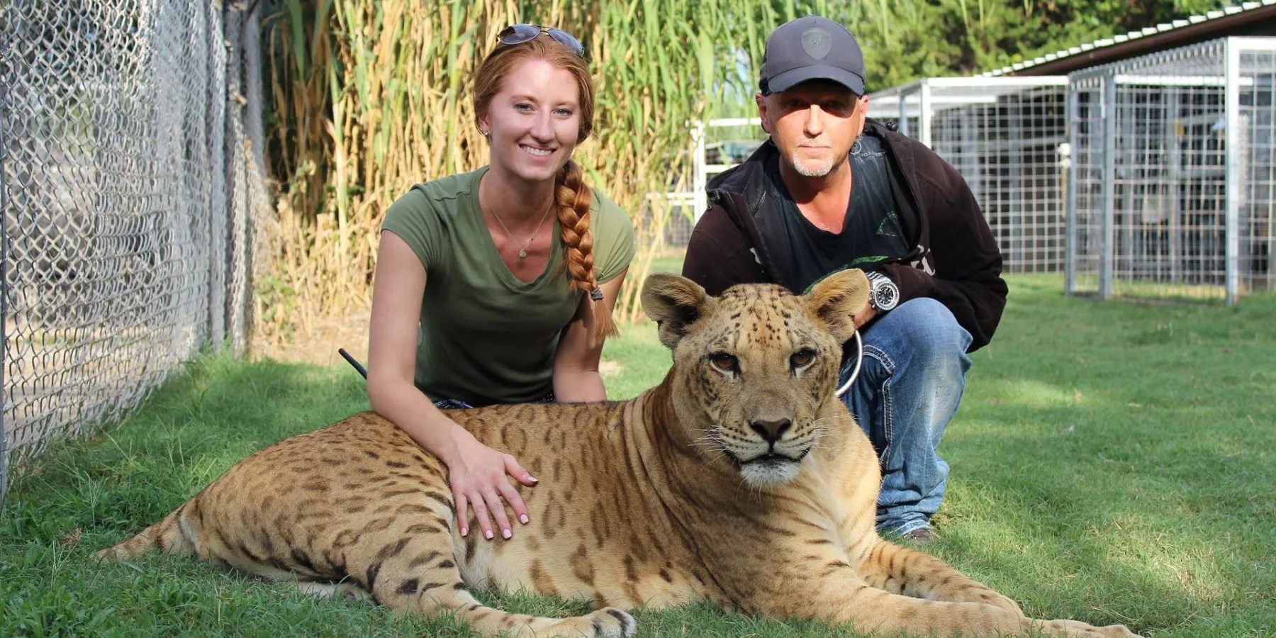 Ever since documentary series tiger king aired 18 … Tiger King Zoo Permanently Closed Says Jeff Lowe | Screen Rant