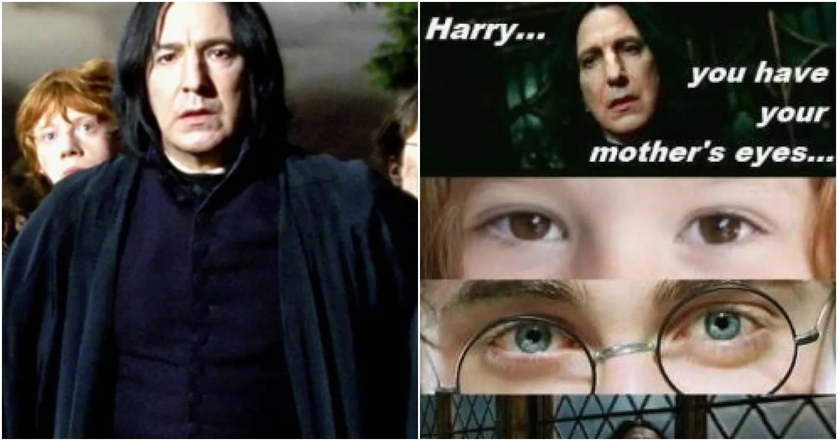 Sep 13, 2006 · fate is a funny thing. Harry Potter 10 Memes That Prove Snape Was The Real Hero