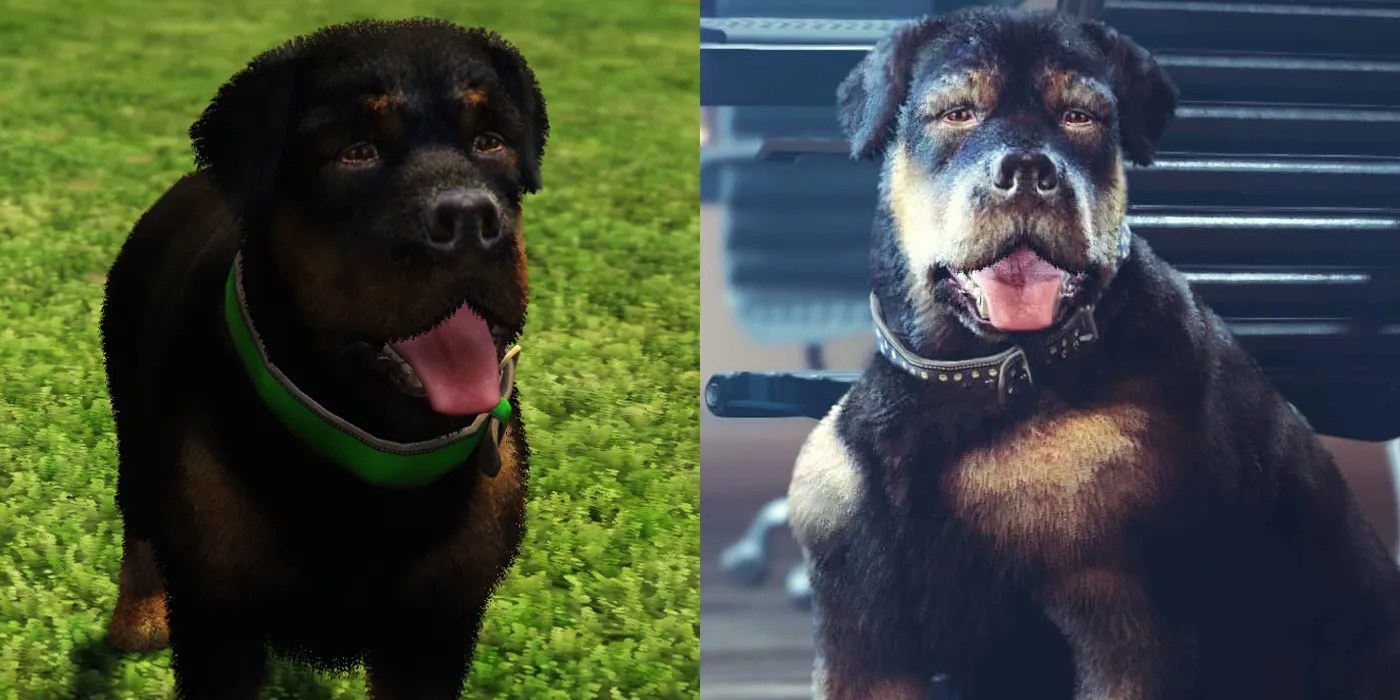 What Breed Of Dog Is Chop From Gta 5 At Christopher Etheridge Blog GTA Online Contract Update Chop Old GTA 5 Story Timeline 