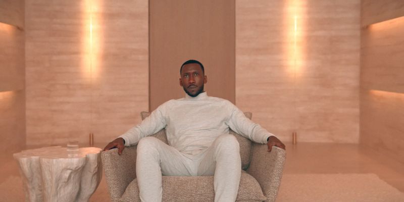 Swan Song - Colorful Images - Ultra HD HD Collection