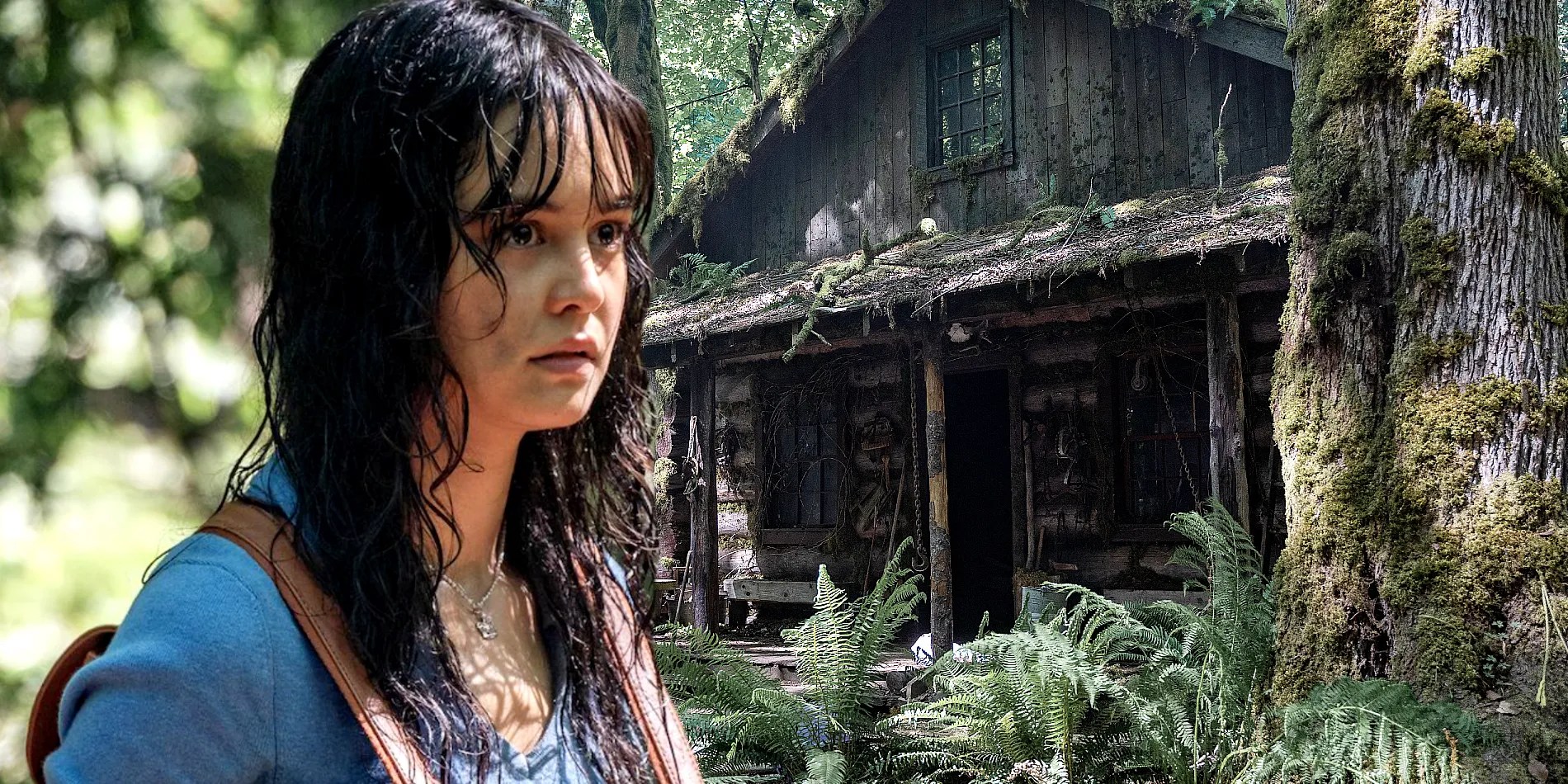 Yellowjackets: Why The Cabin Was Abandoned (& Attic Twist Explained)