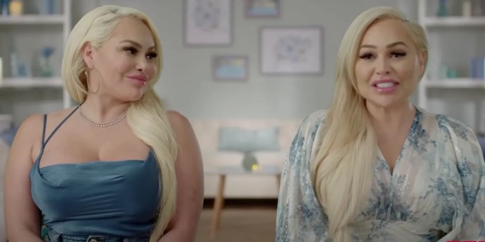 Darcey Silva's Net Worth: How Much Money '90 Day Fiance' Star Makes