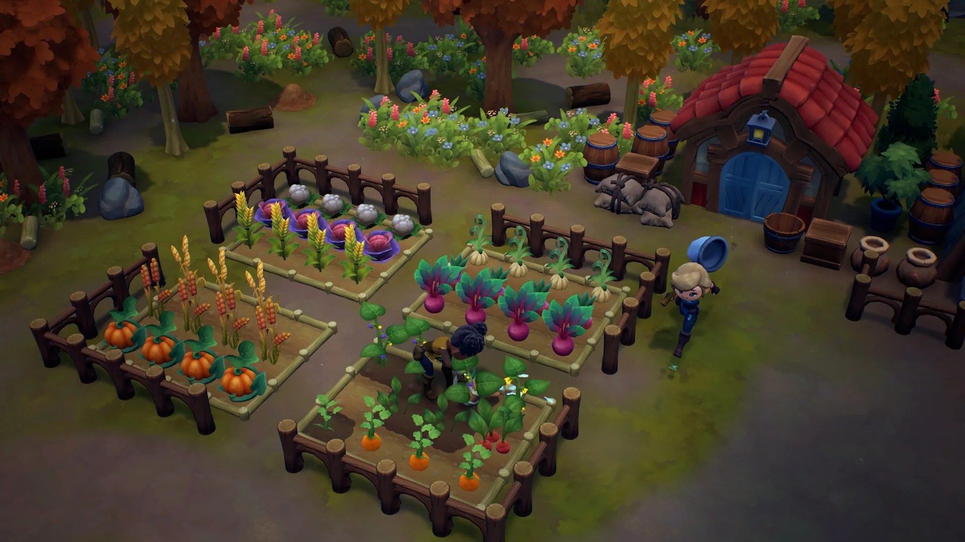 6 melhores culturas para cultivar por dinheiro (florins) na fazenda fae