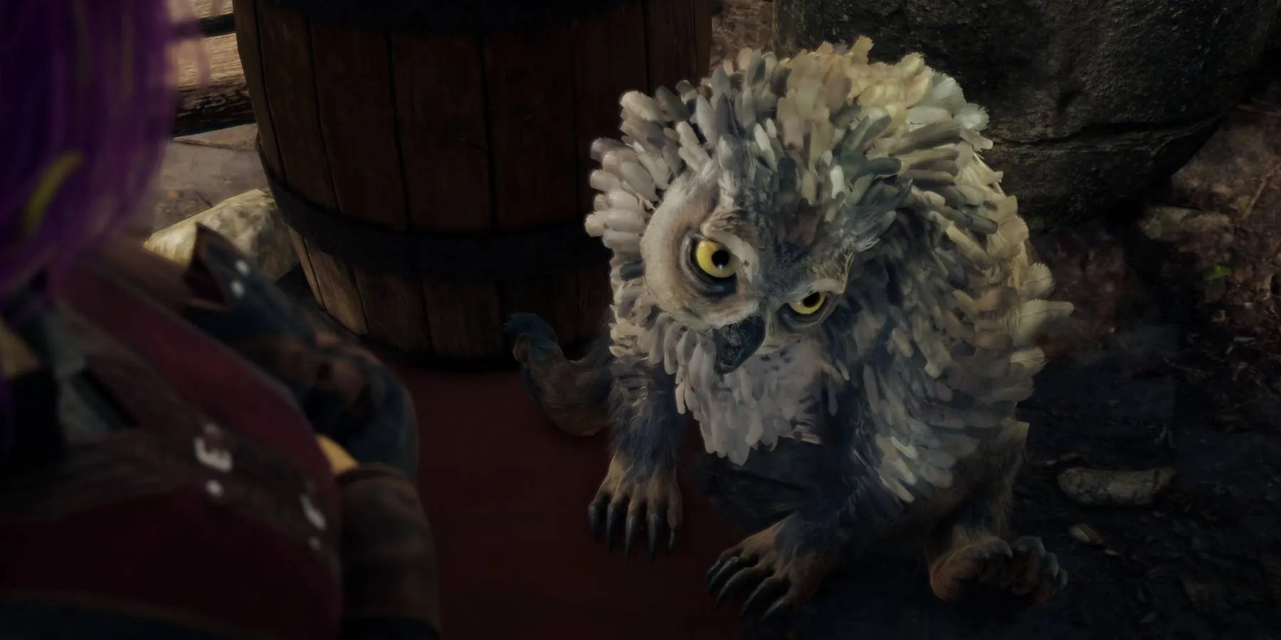 Baldurs Gate 3: How To Get The Owlbear Cub