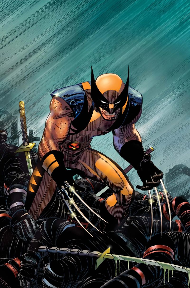 Wolverine Marvel Comics - Mountain Arts - Gorgeous HD Collection