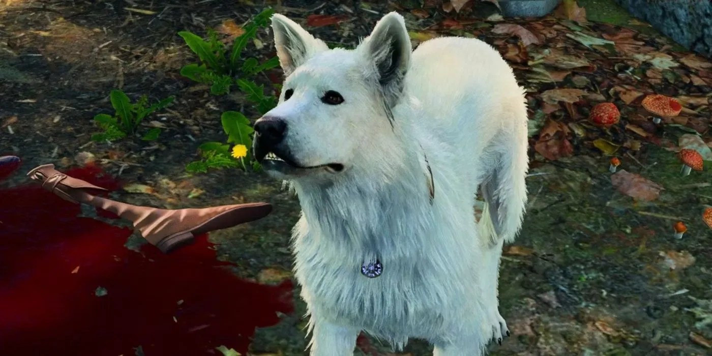 7 best summoned creatures from items in baldur's gate 3, ranked