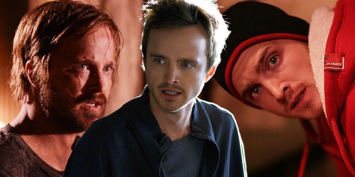 Jesse pinkman net worth in breaking bad