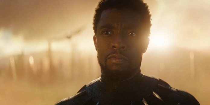 James Gunn Posts Touching Tribute To Chadwick Boseman On 4-Year Anniversary Of His Death James Gunn Posts Touching Tribute To Chadwick Boseman On 4-Year Anniversary Of His Death