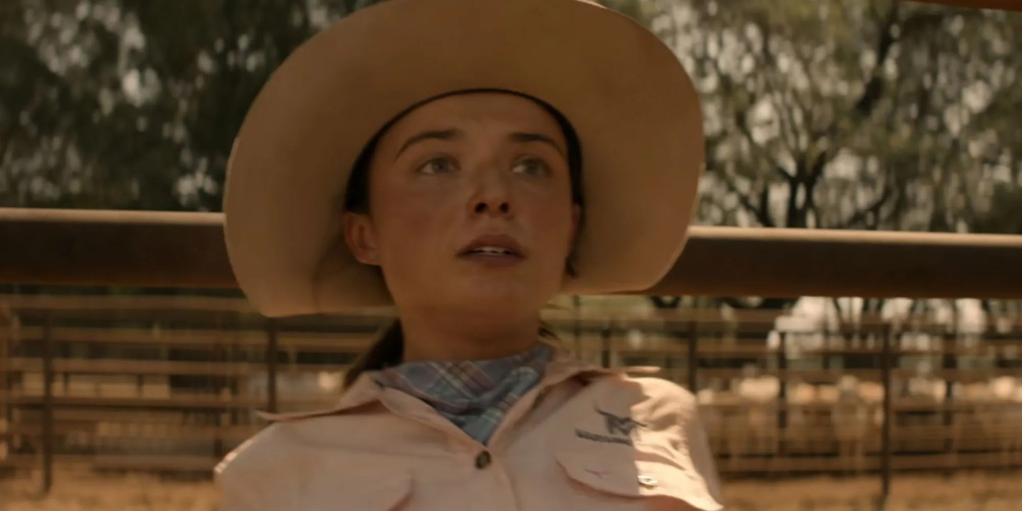 Netflixs Western Series With 86% RT Score Cancelled After Just One Season