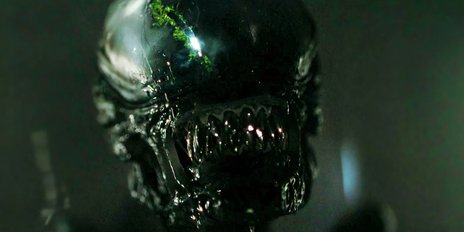 Each Xenomorph Stage In Alien Defined