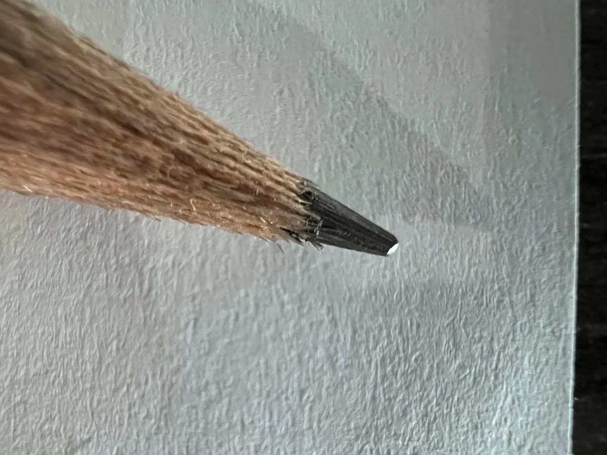 Google pixel 6 pro vs apple iphone 13 pro: camera shootout