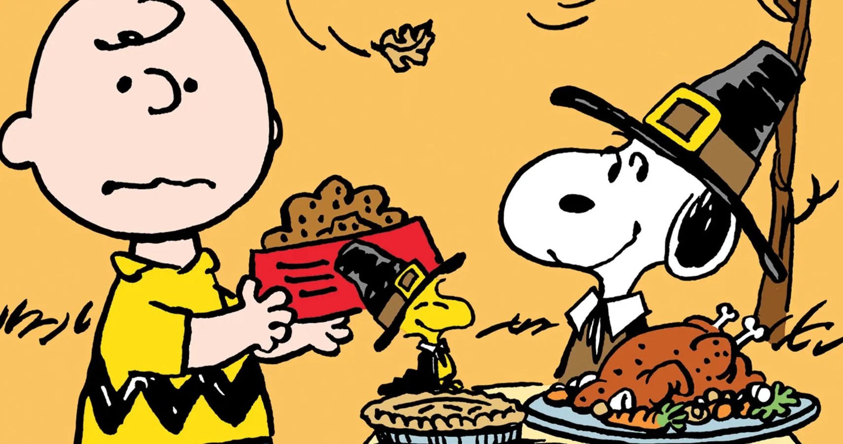 images Charlie Brown Thanksgiving Dinner screen rant
