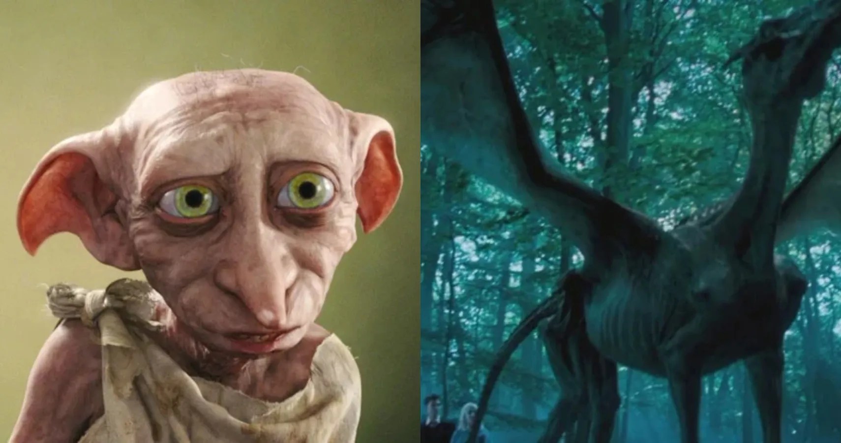 The plot follows harry potter, a young wizard who discove. Harry Potter: 5 Creatures We'd Want As Pets (& 5 We
