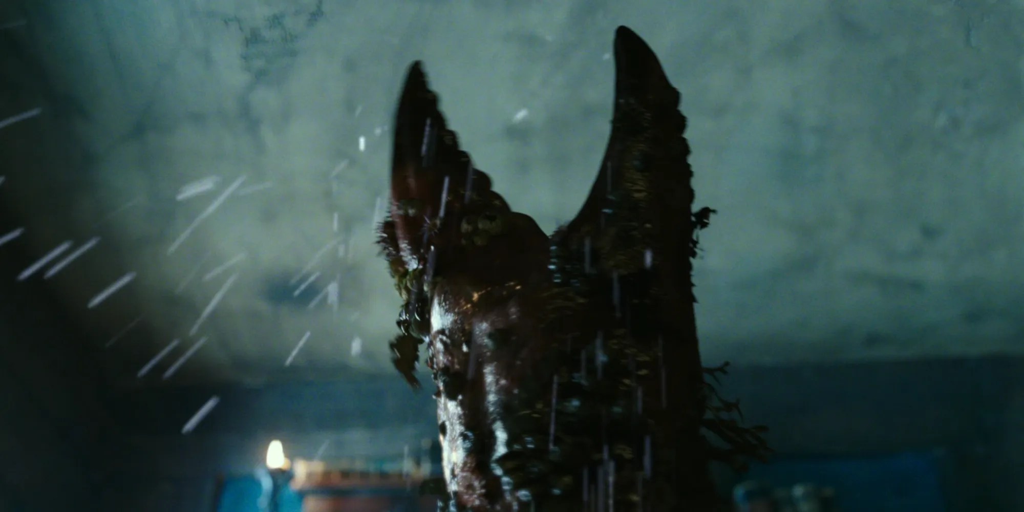 May 26, 2017 · davy jones remains one of pirates of the caribbean's best characters, and given how the majority of the series' key players have come back from the dead at one point or another it was really only a matter of time until he too rose from the water depths. Pirates Of The Caribbean 10 Things Everyone Missed About Davy Jones