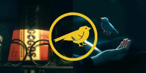 academy sparrow umbrella season every