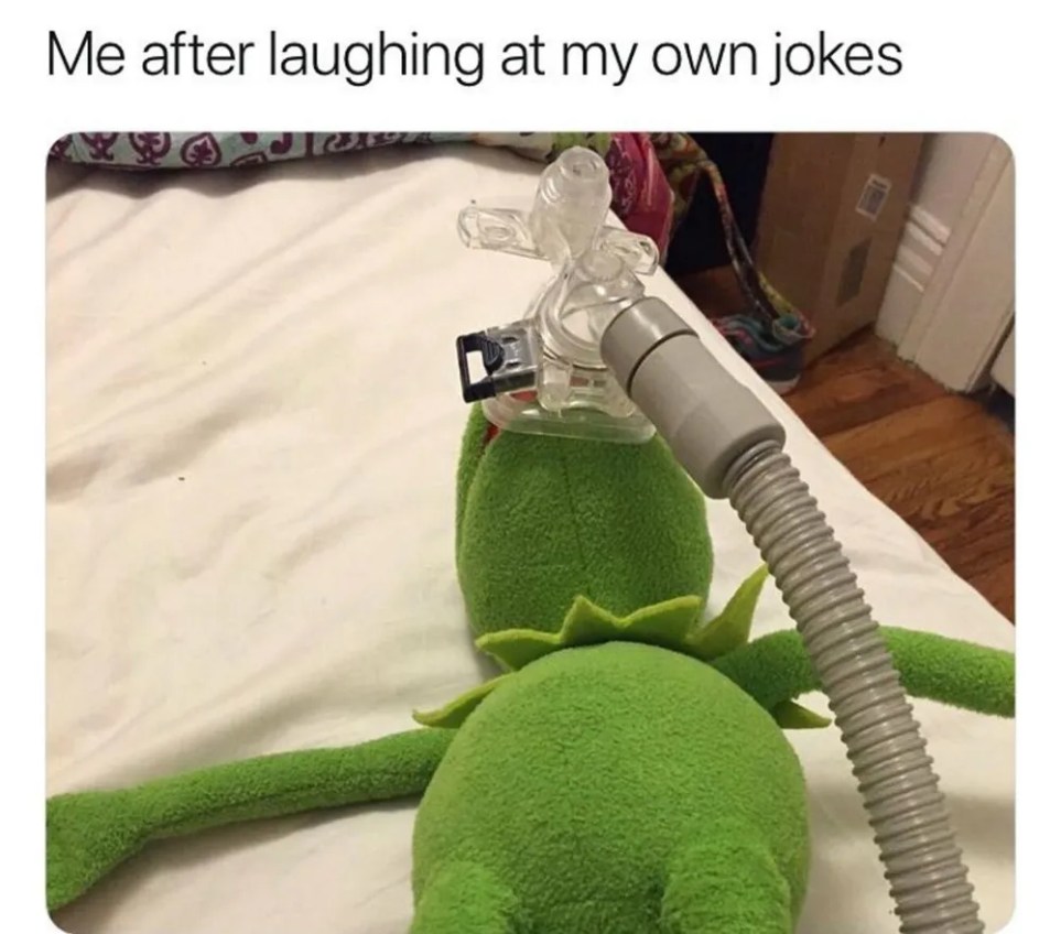 There's no shortage of memes that kermit the frog has helped inspire. Muppets 10 Funniest Kermit The Frog Memes Screenrant
