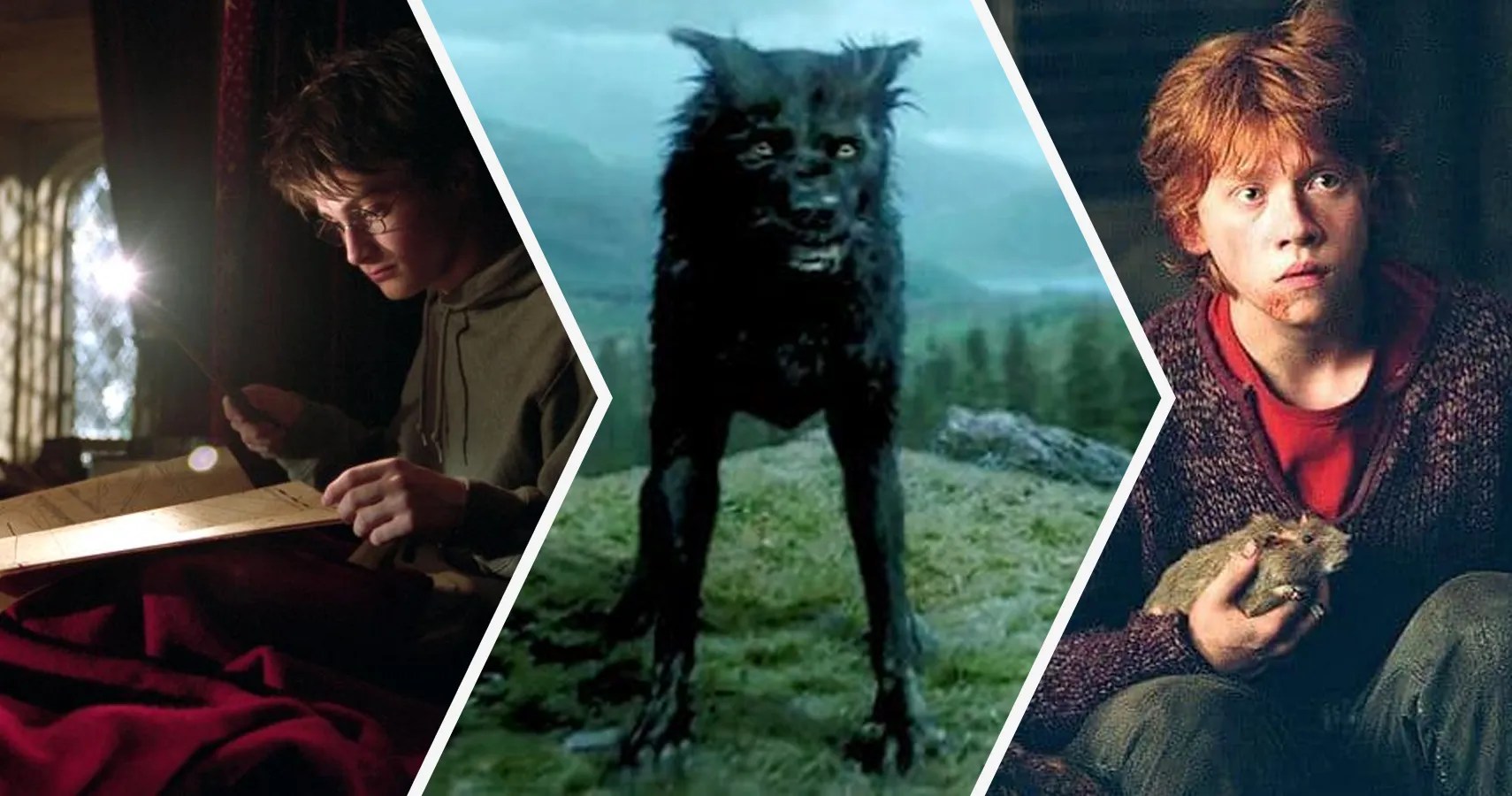Harry potter punya banyak rahasia,salah satunya adalah kemampuannya melihat apa yang tak bisa dilihat orang lain. Harry Potter: 15 Things About The Marauders That Make No Sense