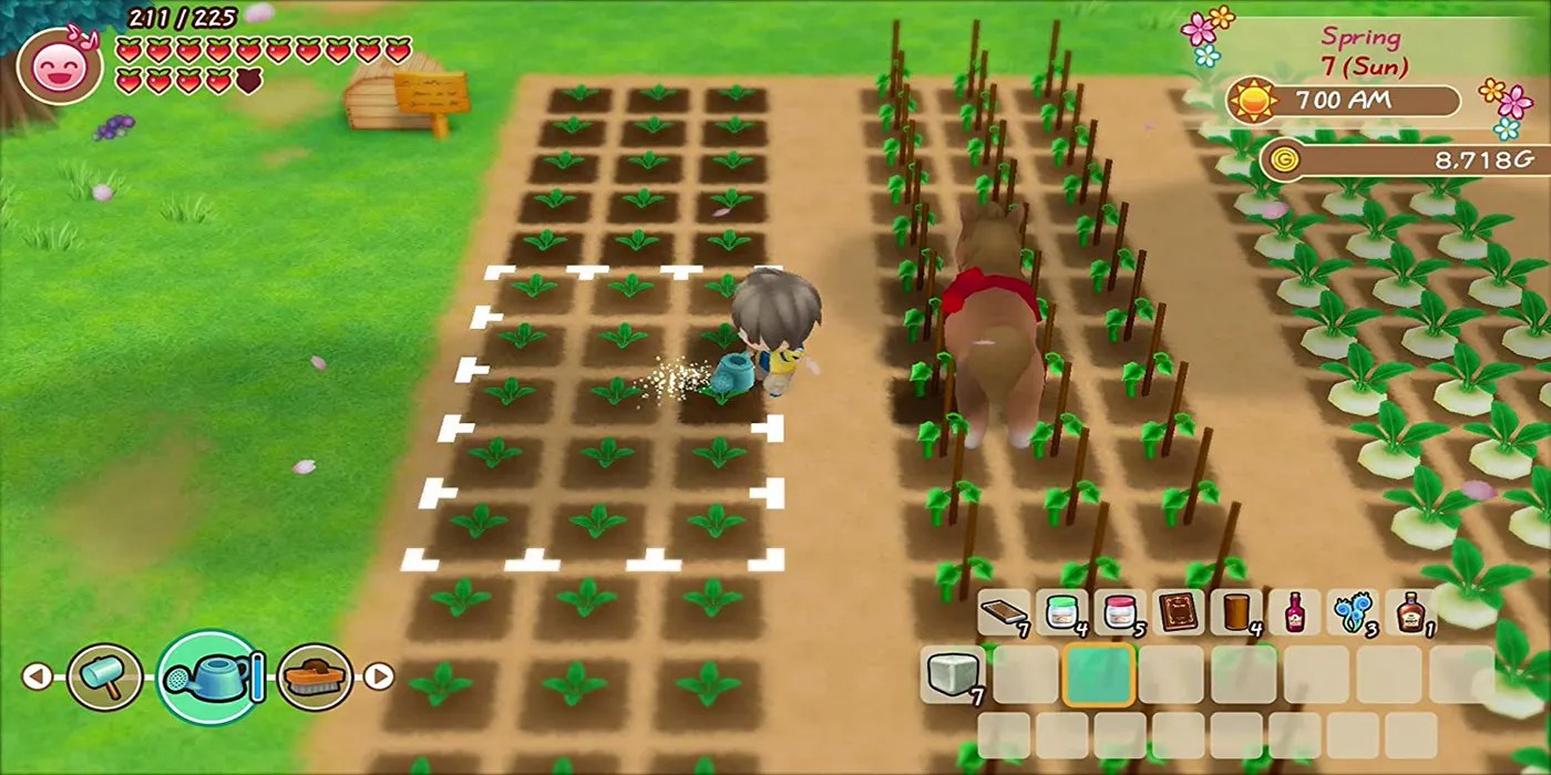 Play Game in Browser: Harvest Moon Back To Nature Weather Cheat Code [Lets Play] 