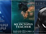 5 Powerful Documentaries To Stream About Climate Change 5 Tv Shows