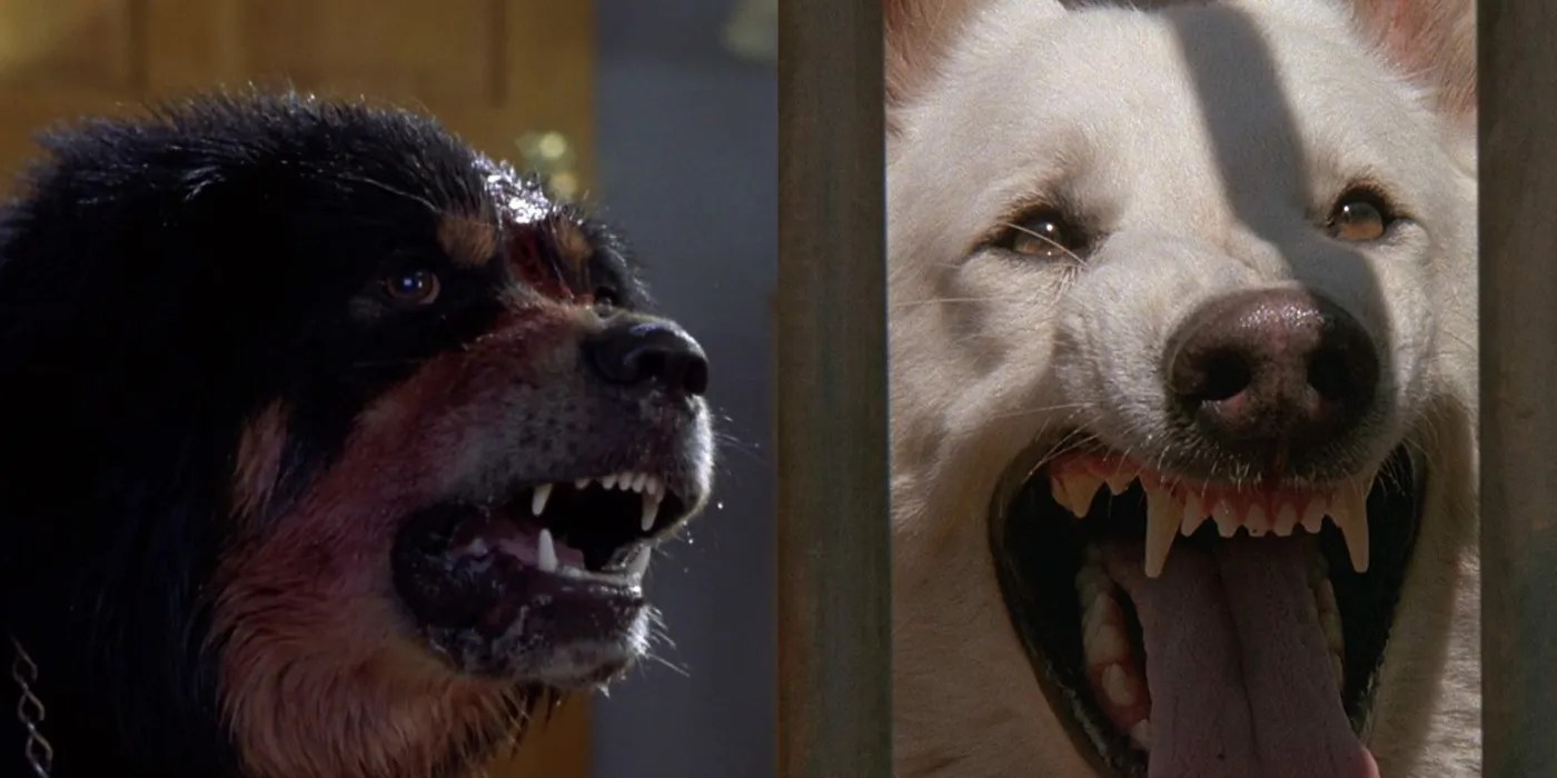 Here are the top scary movies. 10 Best Killer Dog Movies Ranked By Imdb Screenrant