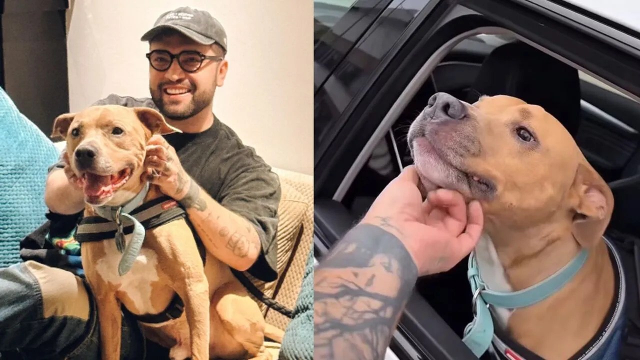 ¡Fiesta en las calles de Bogotá! Camilo Triana celebró la recuperación de su perrito Magnus tras vencer el cáncer