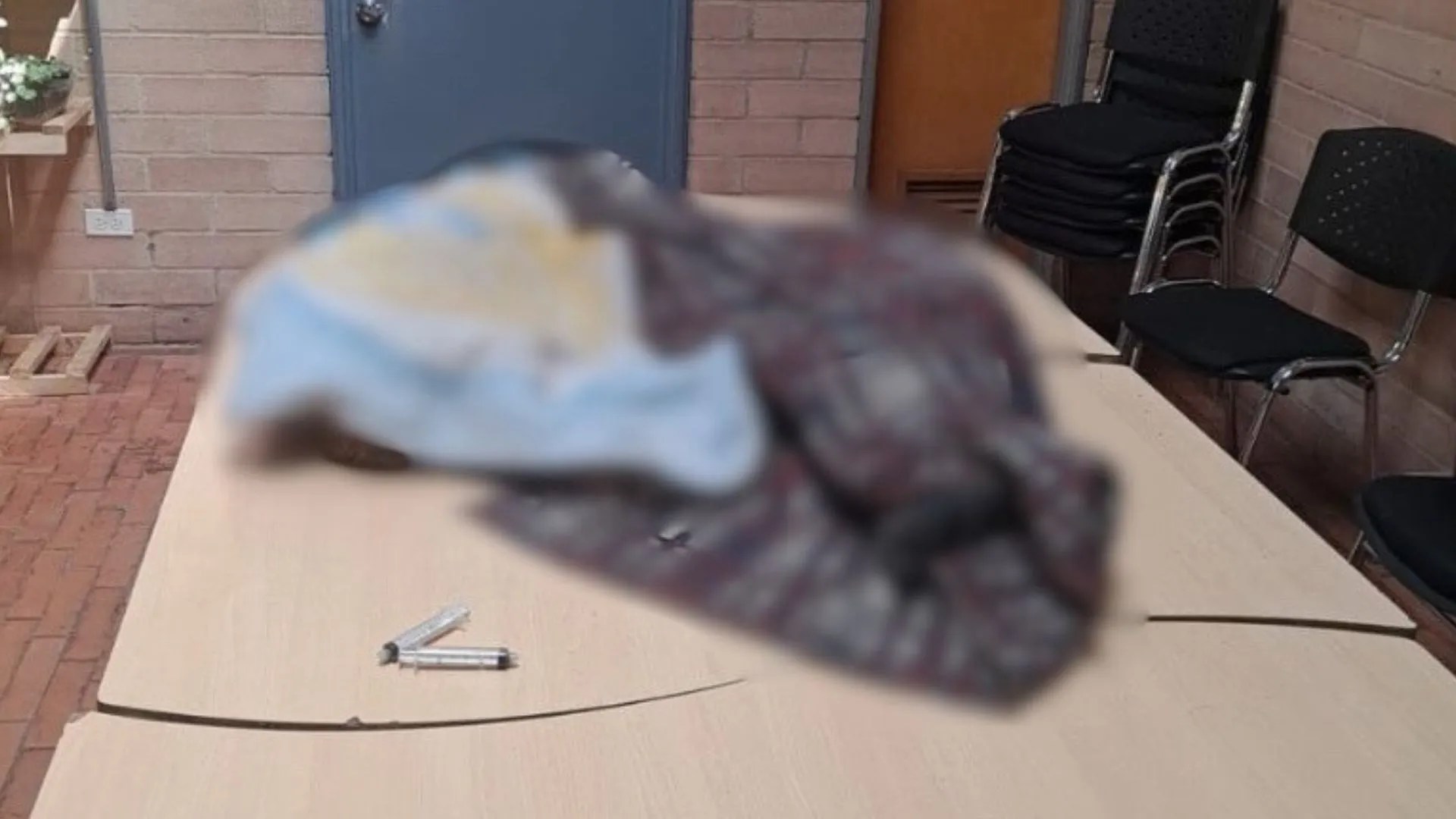 ¡Qué cruel! Investigan envenenamiento de seis perros en Ciudad Bolívar; dos de ellos murieron