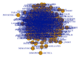 Create Network From Data In R Example Convert Matrix To Graph