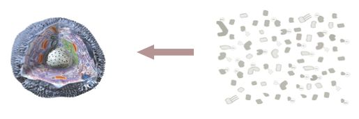 Github Bigbio Quantms Io The Proteomics Quantification Format - Best Nature Photos in 4K