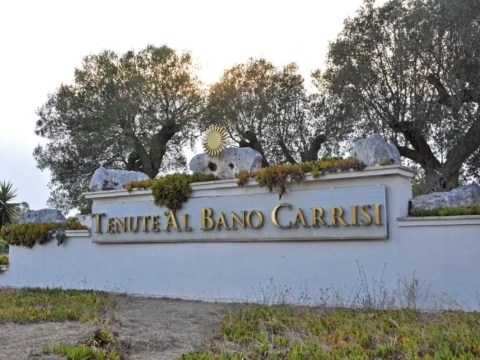Tenute Al Bano in Apulien: Weingut, Resort und Kulturjuwel im Herzen des SĂŒdens 5 (24) Eingangsschild der Tenute Albano Carrisi, umrahmt von alten OlivenbĂ€umen und gekrönt von einer goldenen Sonne.