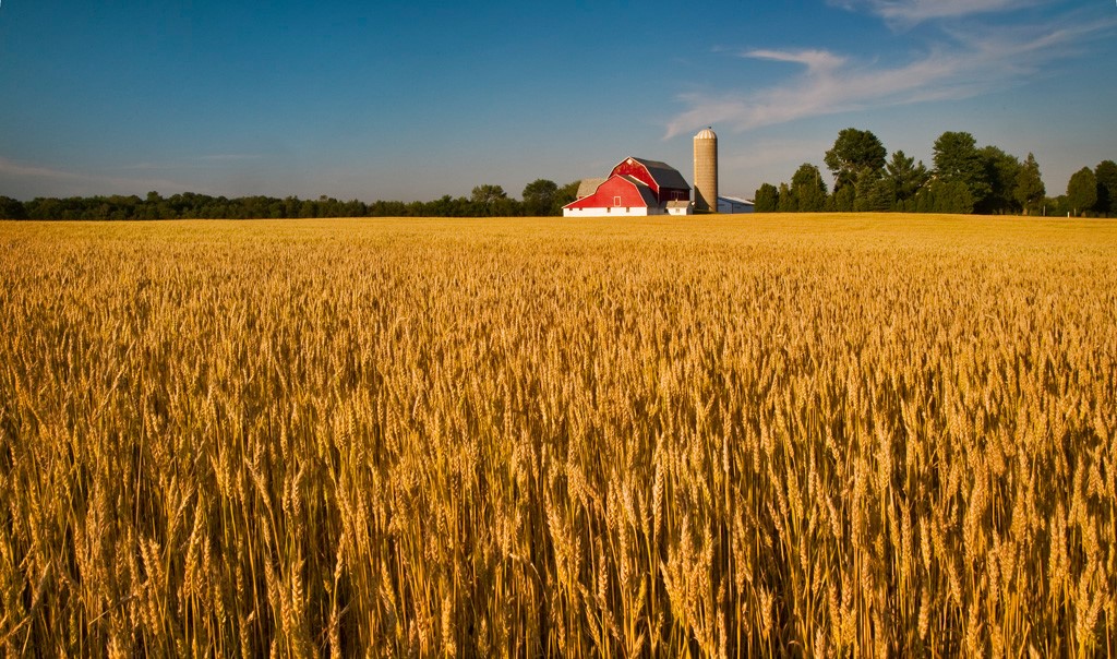 Canadian Centre for Agri-Food and Energy