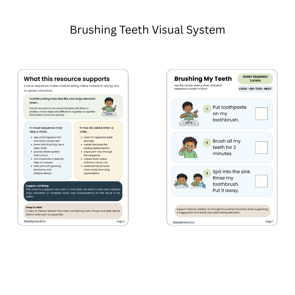 Brushing My Teeth Visual System