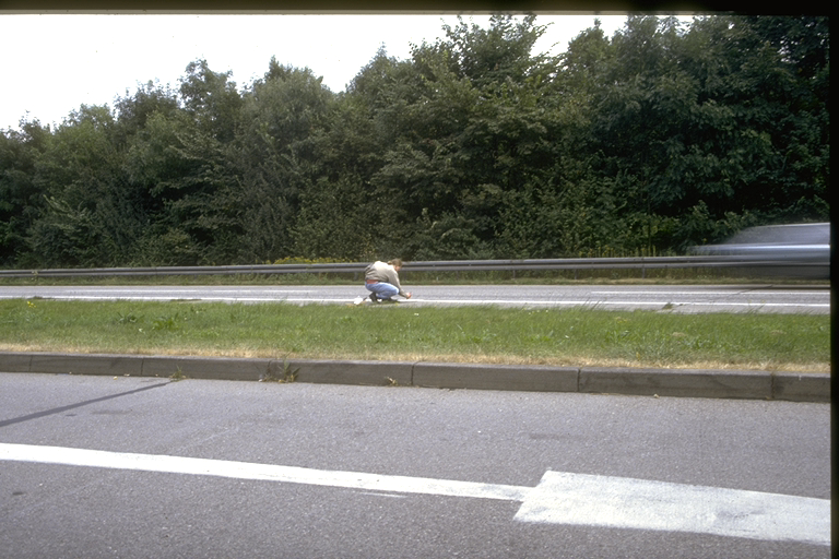 IMG0053_CD_3