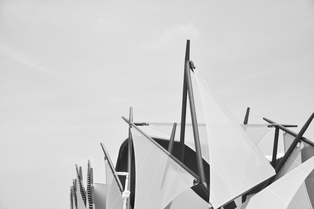 expo8