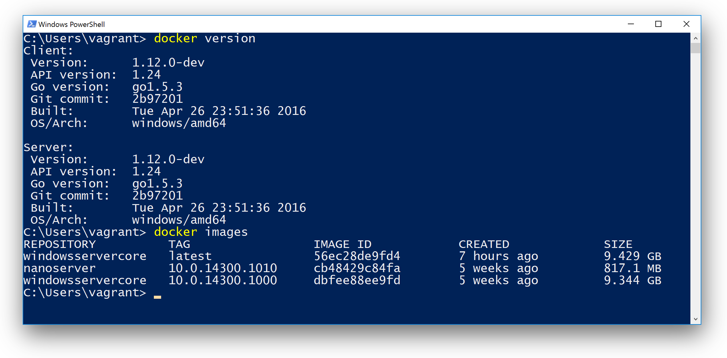 This will open the powershell to run container supported commands. Setup a local Windows 2016 TP5 Docker VM