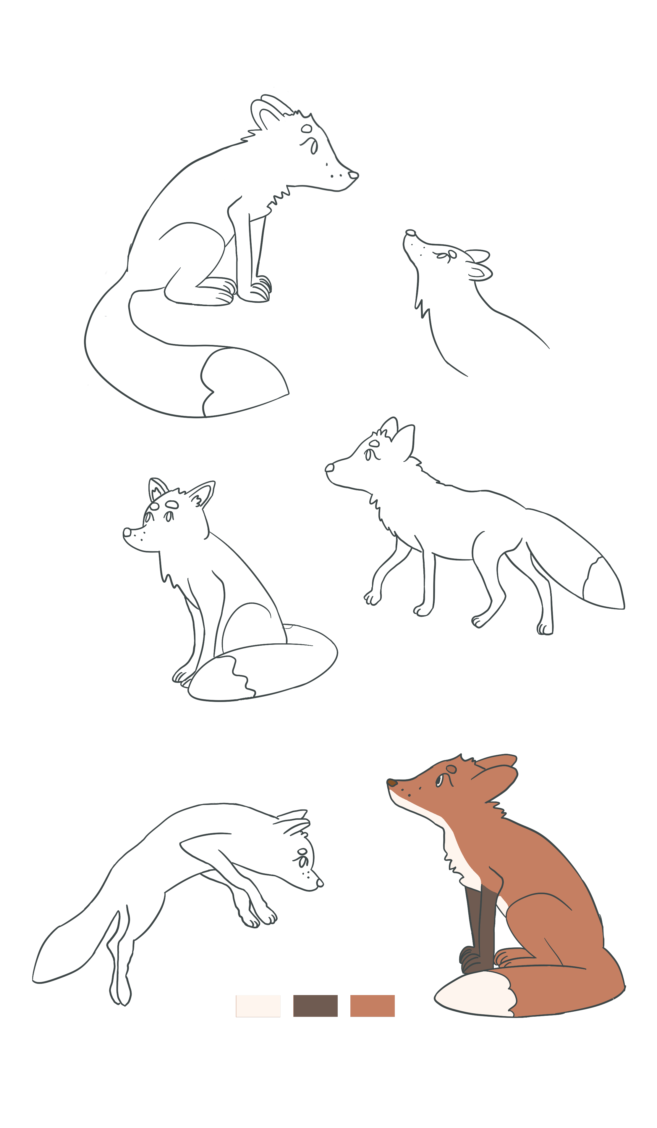 Fox Characterdesign